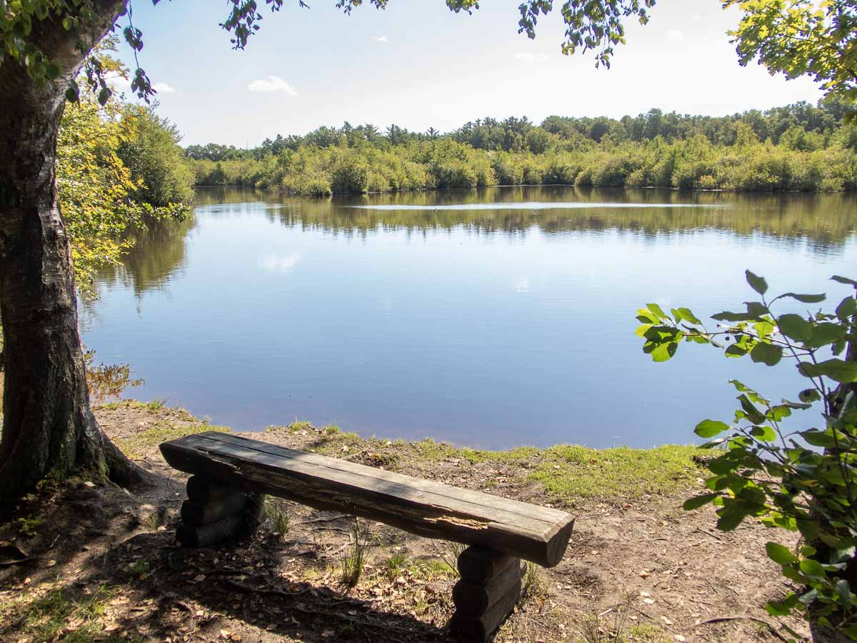 Am Moorsee im NSG Tävsmoor
