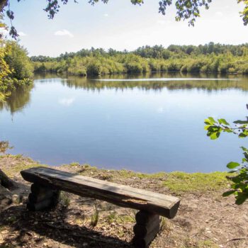 Am Moorsee im NSG Tävsmoor