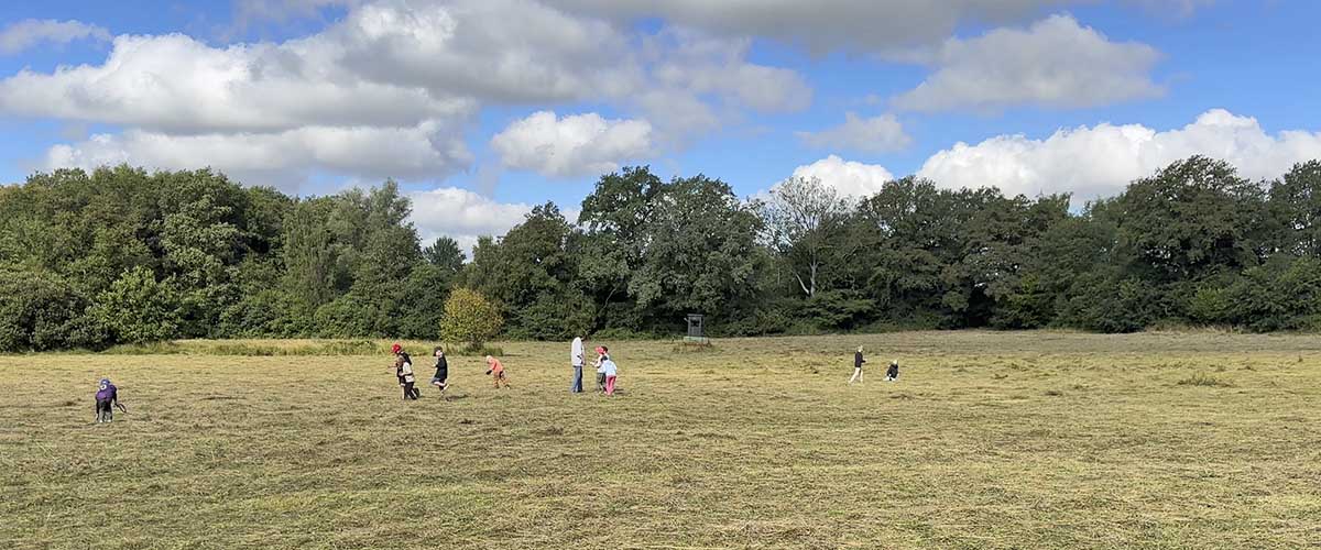 Heuschreckensuche auf der gemähten Wiese